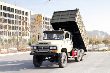 東風(fēng)170馬力6×6倉柵自卸_六驅(qū)2.5噸越野專用翻斗_全驅(qū)定制三軸10噸液壓舉升車